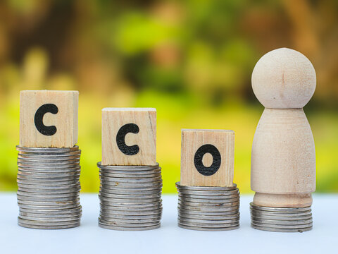 Wooden blocks spelling CCO (Chief Commercial Officer) with a wooden peg figure on stacked coins, illustrating corporate executive leadership.