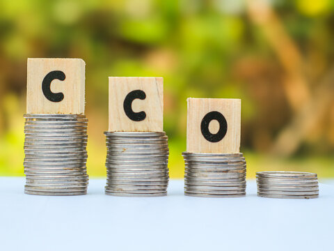 Wooden blocks spelling CCO (Chief Commercial Officer) with a wooden peg figure on stacked coins, illustrating corporate executive leadership.