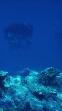 The scene shows a view of underwater rocks and coral in deep blue water. Sunlight filters through the surface, highlighting the coral formations and marine life in the ocean.