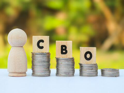 Wooden blocks spelling CBO (Chief Business Officer) with a wooden peg figure on stacked coins, representing corporate growth.