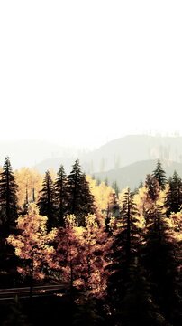 Trees with yellow leaves fill the view as the sun rises. The mountains stand tall in the distance. The scene shows nature waking up with bright colors and soft light.