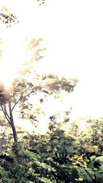 Sunlight filters through leaves in a forest. Trees are tall and abundant. The scene shows a natural setting filled with greenery. Morning light creates a bright atmosphere in the woods.