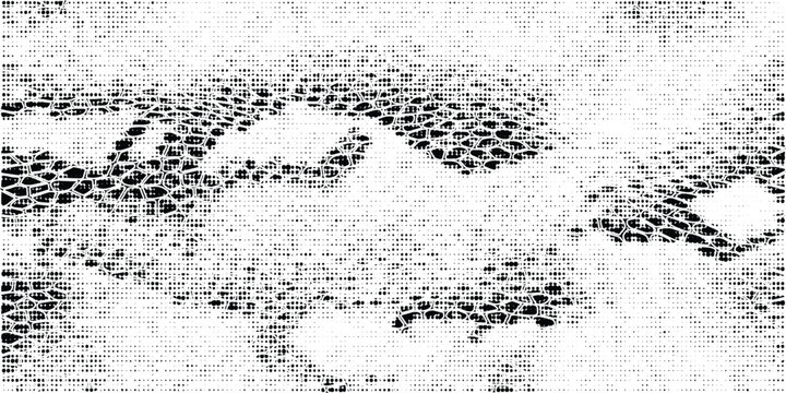Snakeskin pattern imitation. Lines and spots structural texture. Cool and artsy faux leather background. Abstract vector illustration. Black isolated on white. EPS10