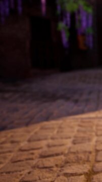A quiet street in a small town shows cobblestones in the warm evening light. Shadows stretch along the path, and buildings line the edges. The scene captures a familiar everyday moment.