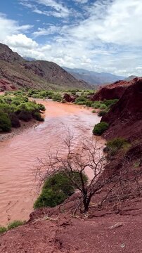 Panoramic view of a muddy river in a dry valley with green shrub and red mountains in Salta, Argentina. Scenic landscape, vivid, saturated colors. South America 