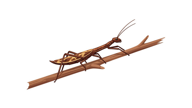 Stick Insect Illustration on Branch Isolated on White Background