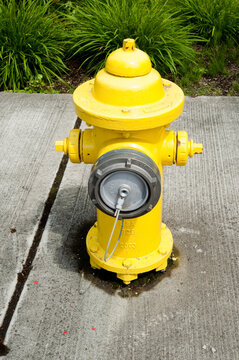 Bright Yellow Fire Hydrant on Concrete Sidewalk in Suburban Neighborhood