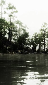 Trees stand near a lake as their reflections appear on the water surface. The scene shows a misty morning with soft light touching the landscape.