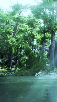 Trees stand tall around a body of water under bright daylight. The landscape shows greenery and reflects the beauty of nature. Sunlight filters through the canopy of leaves.