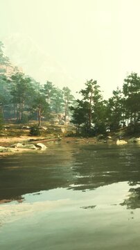 A view shows trees and rocky areas beside a body of water. The sun is shining and reflections are visible on the waters surface. The setting feels natural and expansive in the outdoors.