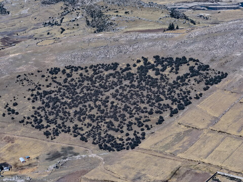Que&ntilde;oa Tree Reforestation and Environmental Revegetation Project, Aerial View
