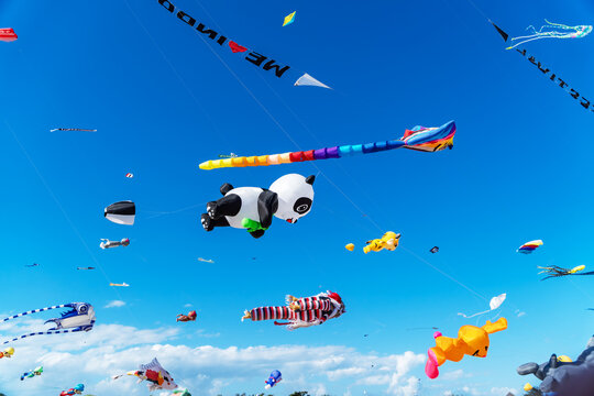 Sanur beach, Bali, Indonesia, July 24, 2026:  A giant inflatable panda kite and various colorful character kites flying high against a clear blue sky during a festival.