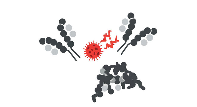 Three Y-shaped antibody molecules surrounding and neutralizing a jagged red pathogen particle, isolated on white background, scientific accuracy in a simplified form, minimalist flat vector