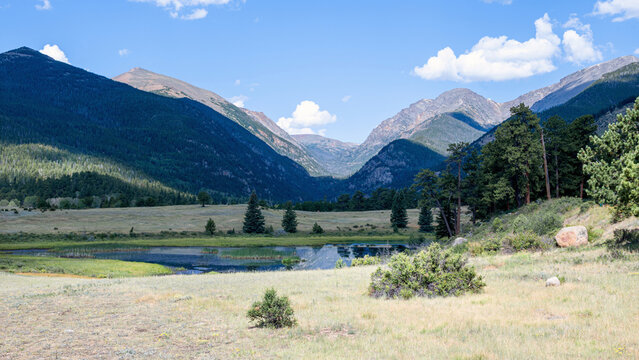 Sheep Lakes Meadow, under a sunny day, Rocky Mountain National Park, Colorado