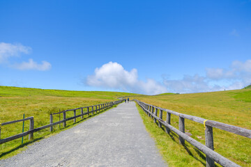 Fototapeta premium 夏の美ヶ原高原の遊歩道と広大な牧場の景色（長野県）