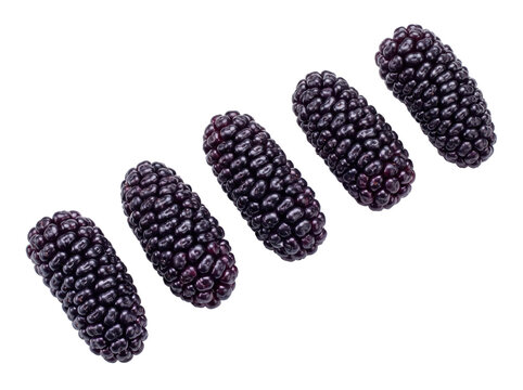 Ripe Black Mulberries Arranged in a Diagonal Row on Solid Black Background Studio Shot for Food Packaging and Culinary Design
