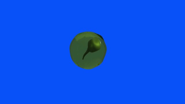  Tadpole Egg over Blue Screen Background