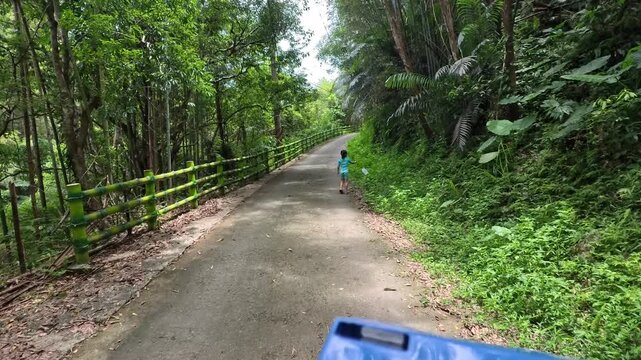 Young child walking down a paved forest path lined with green bamboo fence, 4K b-roll