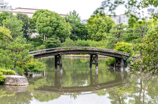 Traditional Japanese garden with wooden bridge