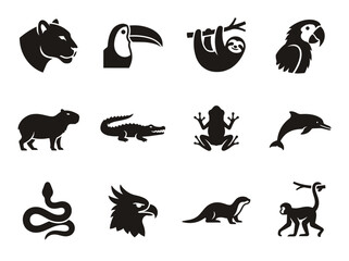 Fototapeta premium vector Collection of Amazon Rainforest Animals Silhouettes Including Jaguar Toucan Sloth Macaw Capybara Crocodile Frog Dolphin Snake Eagle Otter Monkey on transparent background