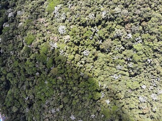 created by dji camera © Ricardo_S_Levenhagen