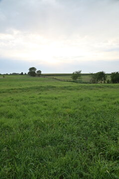 Field