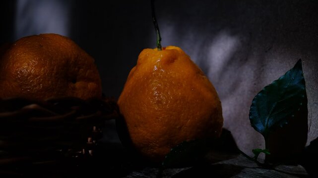 Tangerine, hybrid. Sumo orange, Sumo Citrus, dekopon which is a cross between a mandarin and a orange. Low key, dark settings	
