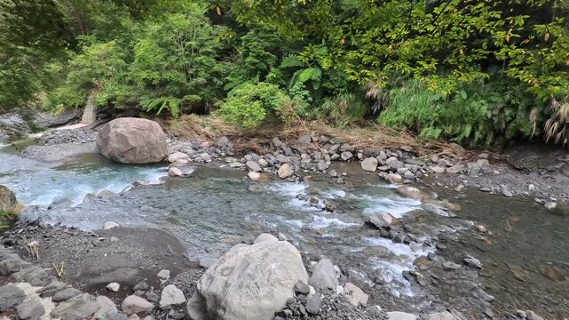 Clear water flowing through a rocky riverbed in a lush green forest, 4K b-roll