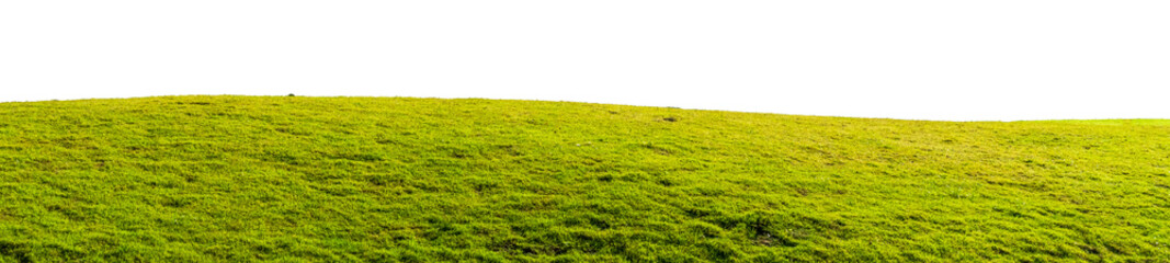 Obraz premium Green grassy hill with a gently curved horizon, cut out and isolated on a transparent background for design use.
