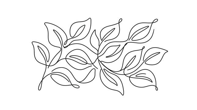 Continuous line art drawing of decorative botanical leaves