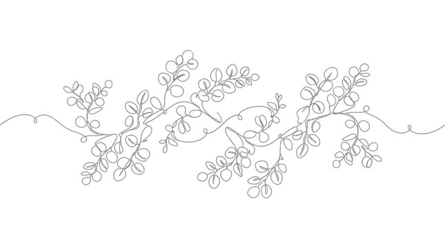 Continuous line art drawing of eucalyptus branches with leaves