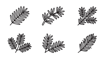 Fototapeta premium Set of hand drawn pine and fir tree branches sketch with botanical illustration monochrome evergreen isolated background ornament decoration detailed minimalist woodland christmas textured