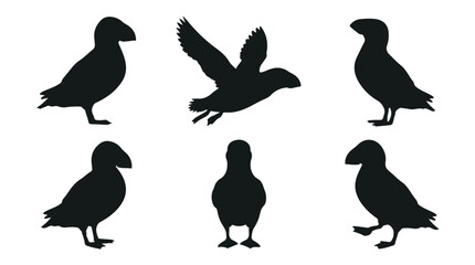 Fototapeta premium A set of six puffin bird in various poses silhouette vector icon illustrations on a white background 