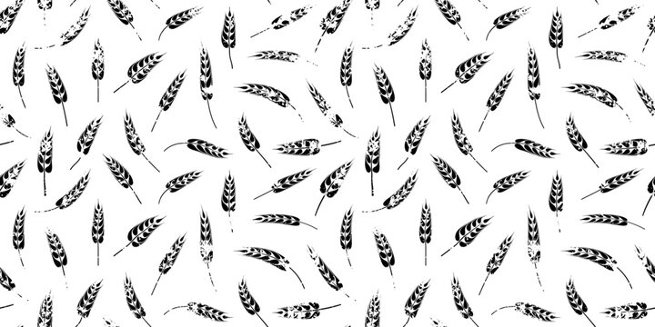 Seamless pattern of wheat ears, rye or barley, agriculture and harvest, black isolated silhouette on white background, vector print