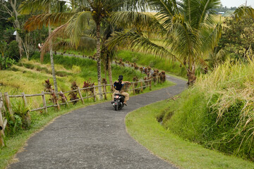 Naklejka premium Couple riding a scooter along a winding concrete road through rice terraces and palm trees