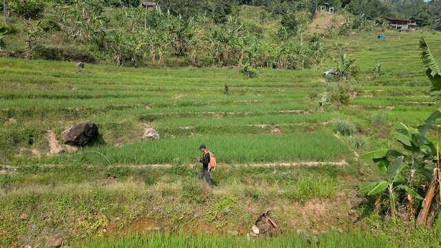 Drone view of a farmer walking through lush green rice terraces in a tropical countryside under bright daylight.