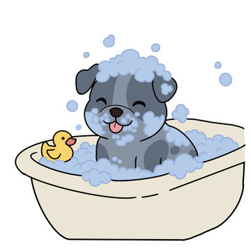 Bathing A Dog