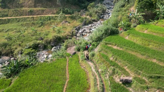 Aerial drone view of hikers crossing a lush riverside trail through tropical forest, rice fields, and rocky stream in daylight.