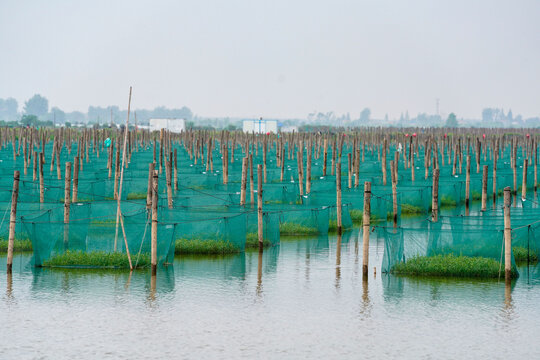 Aquaculture Farm with Neatly Arranged Nets and Protective Boxes