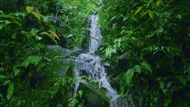 Small Waterfall Cascading Through Lush Green Forest