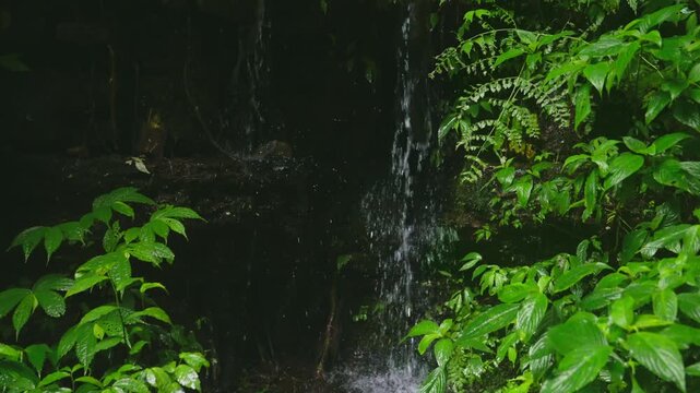 Waterfall Flowing in Dark Shaded Natural Setting