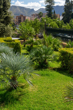 Jard&iacute;n urbano con peque&ntilde;as palmeras y c&eacute;sped verde. Al fondo, edificios de la ciudad y monta&ntilde;as bajo un cielo azul despejado con algunas nubes.