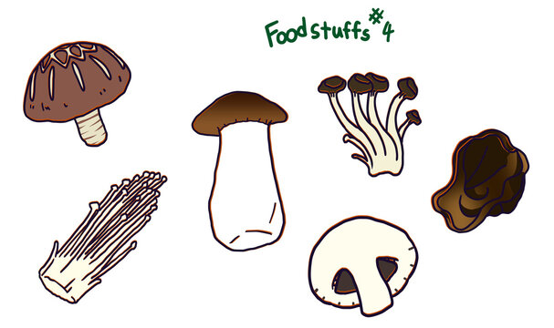Foodstuffs#4 버섯류 머쉬룸 새송이버섯 표고버섯 양송이버섯 팽이버섯 목이버섯 느타리 버섯