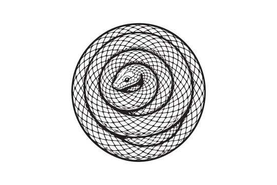 Detailed Coiled Snake Illustration in a Circular Shape, Black and White Scaled Reptile Line Art