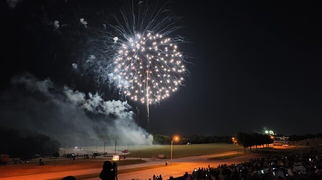 Fireworks display over a park at night with spectators
