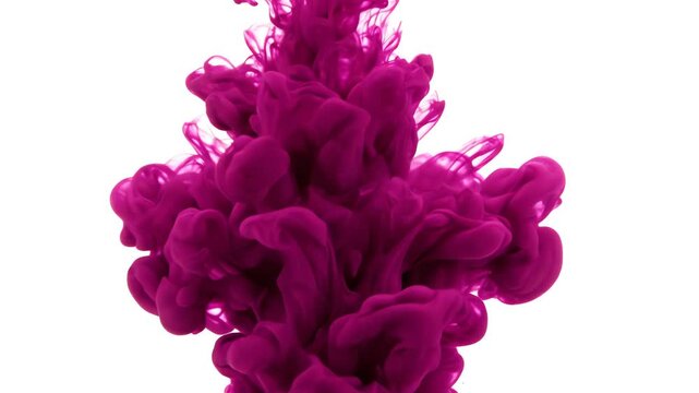 Vibrant single drop of deep magenta ink expanding slowly into a plume of color against a pure white background