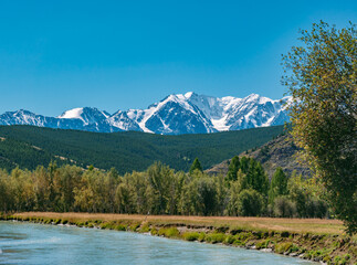 Fototapeta premium Majestic Altai mountains with snow peaks overlook a winding river and green forest under a clear blue summer sky
