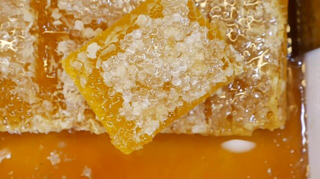 Honey extraction process in local apiary