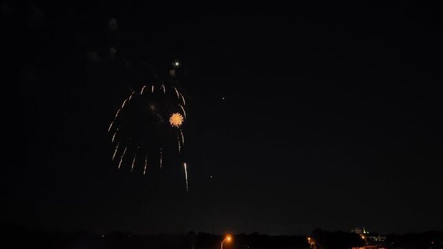 Colorful fireworks exploding in night sky over park