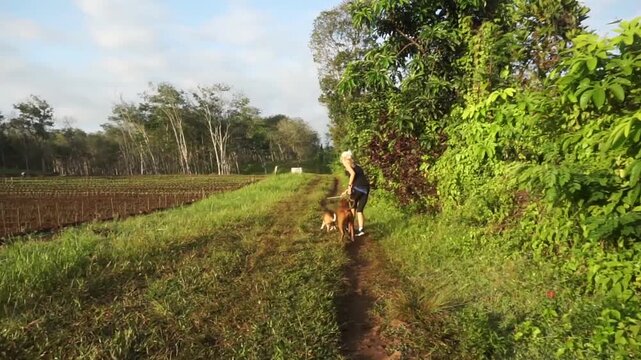 Back View of Active Woman Walking Her Two Dogs along Forest Trail.